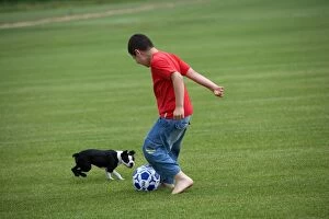 Boy - playing football with Boston Terrier dog