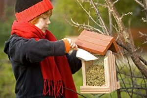 Boy - putting bird food in bird feeder