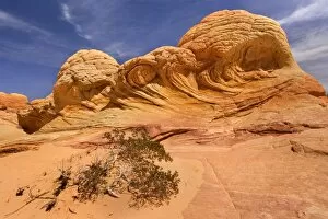 Brainrocks - carved rock made of jurrasic-age Navajo Sandstone that is approximately 190 millions old