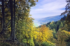 Bramwald Forest - view of River Weser from Bramburg fort, in autumn Bramwald Forest - view of River Weser from Bramburg fort, in autumn