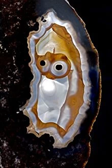Images Dated 10th January 2015: Brazilian Agate slice with MR sad face design