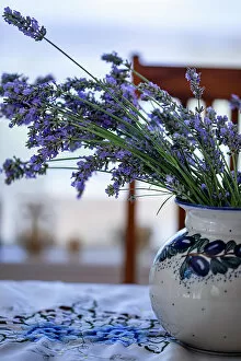 Vase Gallery: Bremerton, Washington State, USA. Lavender in a vase