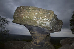 Brimham Rocks, near Harrogate, Yorkshire