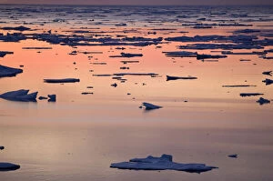 Images Dated 20th August 2012: Broken sea ice at sunset, Kong Oscar Fjord