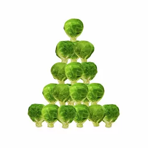 Images Dated 19th October 2009: Brussel Sprout - in Christmas tree shape
