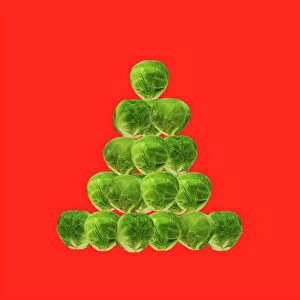 Images Dated 19th October 2009: Brussel Sprout - in Christmas tree shape on red background