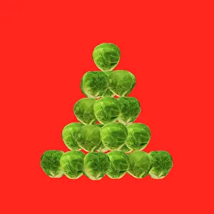 Patterns Prints: Brussel Sprout - in Christmas tree shape on red background
