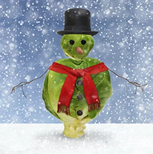 Brussel Sprout snowman in winter snow, weating