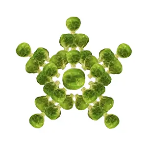 Christmas Prints: Brussel Sprout - in star or snowflake shape