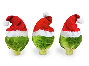 Brussel Sprouts - in Christmas hats Digital Manipulation: SU hats