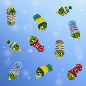 Falling Gallery: Brussel Sprouts, with woolly hats and googly