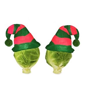 Images Dated 25th November 2008: Brussels sprout - with elf hat
