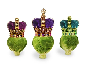 Images Dated 25th November 2008: Brussels Sprouts - with crown - we three kings