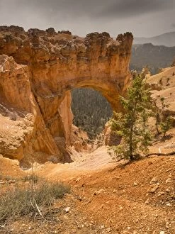 Bryce Gallery: Bryce Canyon