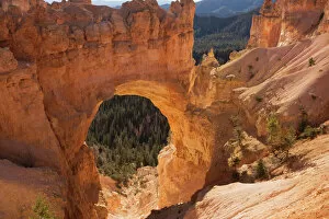 Valley Gallery: Bryce Canyon: 'Natural bridge' (strictly-speaking, it's an arch)