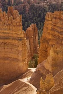 Bryce Canyon: trail down into canyon from Sunrise