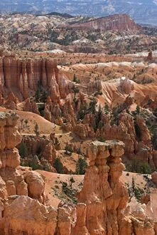 Images Dated 20th April 2007: Bryce Canyon. Utah. USA