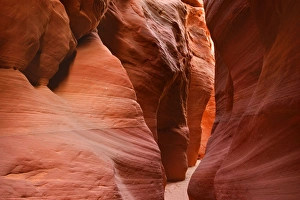 Images Dated 28th April 2009: Buckskin Gulch Narrows - a very narrow and high section in this slot canyon with sandstone walls