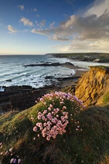 Waves Gallery: Bude - Cliffs and Coast - Cornwall - UK