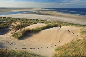Images Dated 6th October 2007: Budle Bay - Ross Sands sand dunes, view looking north