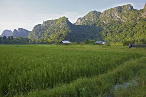 Buffer zone village wit rice paddies, Cat