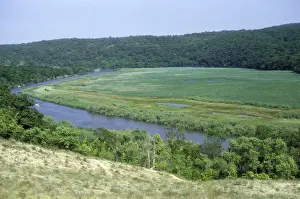 Bulgaria Prints: Bulgaria Ropotamo National Park