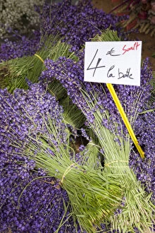 Bunches of fresh lavender for sale at