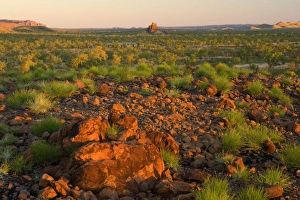 Images Dated 8th July 2008: Bungles View - panoramic view of spinifex-covered ridges and the western escarpment of the Bungle