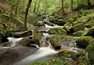 Burbage brook running through Padley Gorge - Derbyshire - England