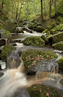 Landscapes Prints: Burbage brook running through Padley Gorge - Derbyshire - England
