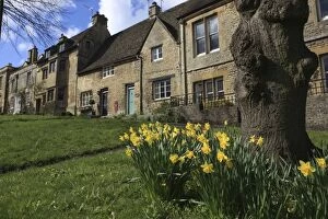 Burford - Spring day with Daffodils