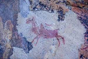 Images Dated 8th September 2007: Bushman paintings in the Cederberg Mountains, Cape