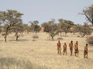 Demonstration Gallery: Bushmen - presenting tourist demonstration - Camelthorn