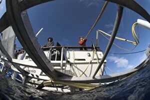 Cage-diving for great white sharks - view from
