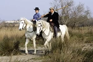 Images Dated 17th March 2007: Camargue Horses - with riders