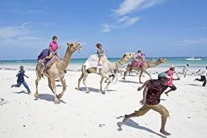 Camel Race on sandy beach