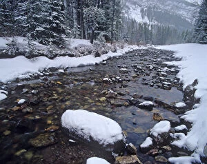 Cameron Creek in winter in Waterton Lakes