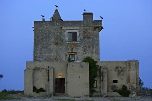 Images Dated 21st April 2007: Camoeira Estate House - white storks roosting on roof, Alentejo, Portugal