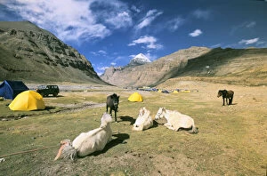 Camping at Mt. Kailash