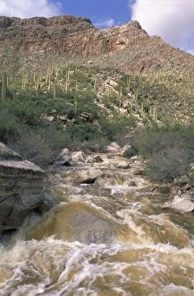 CAN-3067 Desert wash flooding near Tucson, Arizona, USA