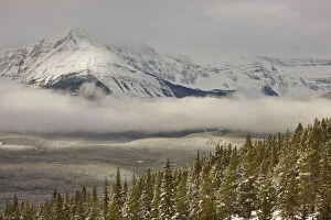 Canada, Alberta, Banff National Park. A