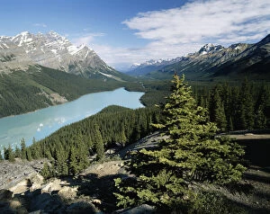 Canada, Alberta, Banff National Park, Peyto