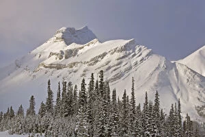 Canada, Alberta, Banff National Park. Summit