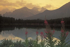 Canada, Alberta, Banff. Sunrise scenic of