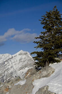 Canada, Alberta, Banff. Views from the summit