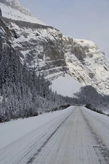 Images Dated 18th March 2009: Canada, Alberta, Icefields Parkway. Jasper