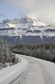 Images Dated 18th March 2009: Canada, Alberta, Icefields Parkway. Jasper