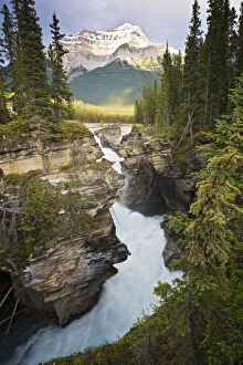 Canada, Alberta, Jasper National Park, Athabasca
