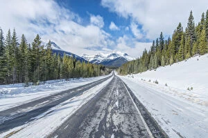 Canada, Alberta, Jasper National Park, Icefields