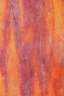Columbia Gallery: Canada, British Columbia. Bark detail of madrone